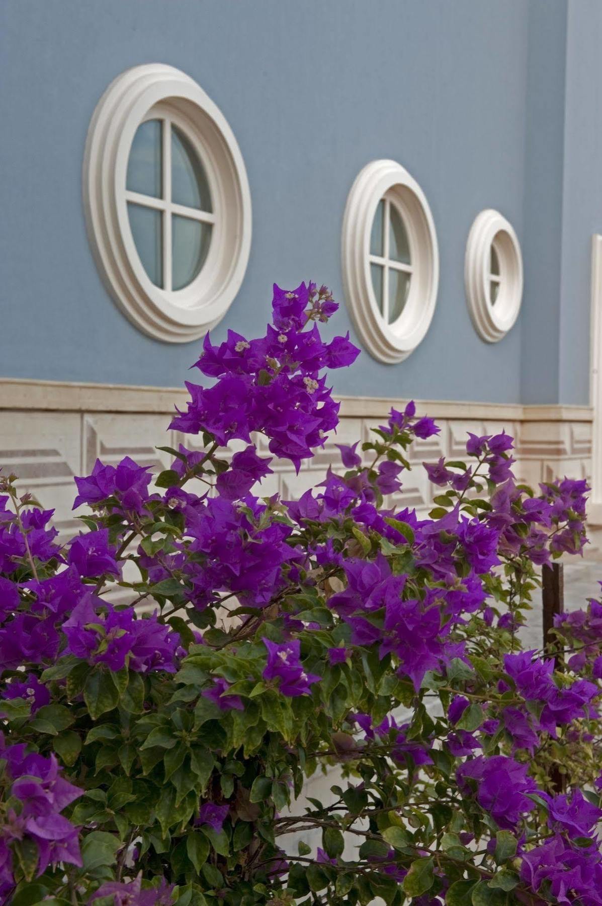 La Maison Bleue El Gouna (Adults Only) Χουργκάντα Εξωτερικό φωτογραφία